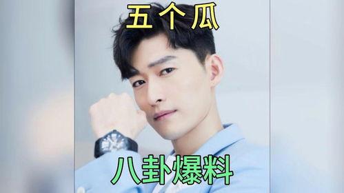 吃瓜八卦娱乐圈小说推荐
