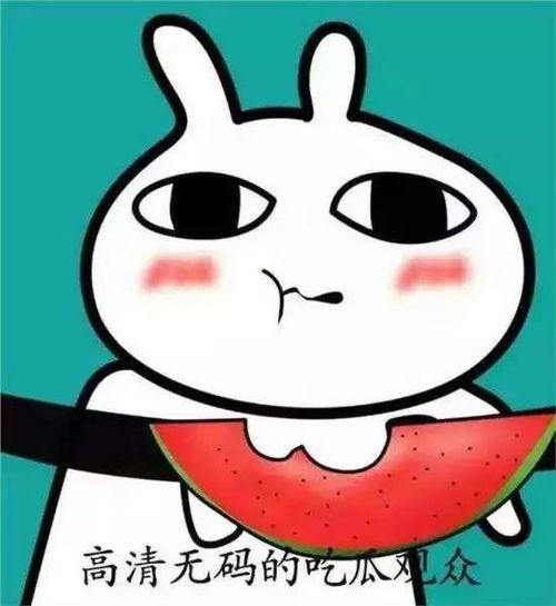 坐等吃瓜表情包图片搞笑,坐等吃瓜表情包，欢乐无限！